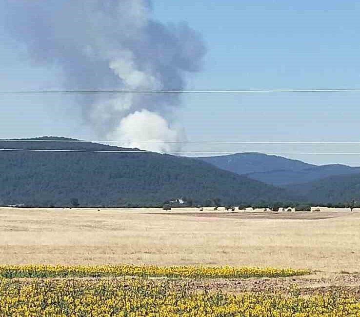 Eskişehir’in Seyitgazi İlçesi’nde büyük bir orman yangını çıktığı bildirildi. Edinilen