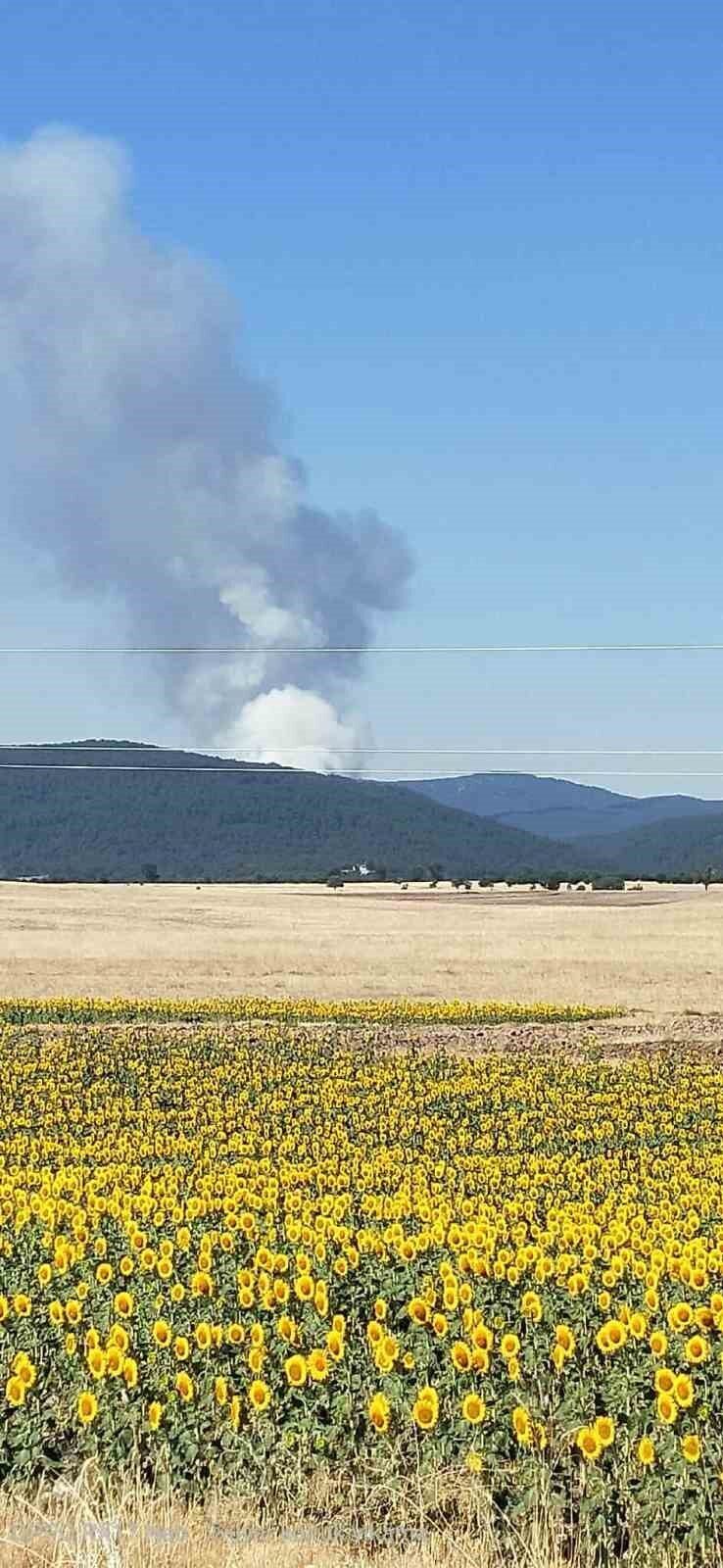 Eskişehir’in Seyitgazi İlçesi’nde büyük bir orman yangını çıktığı bildirildi. Edinilen