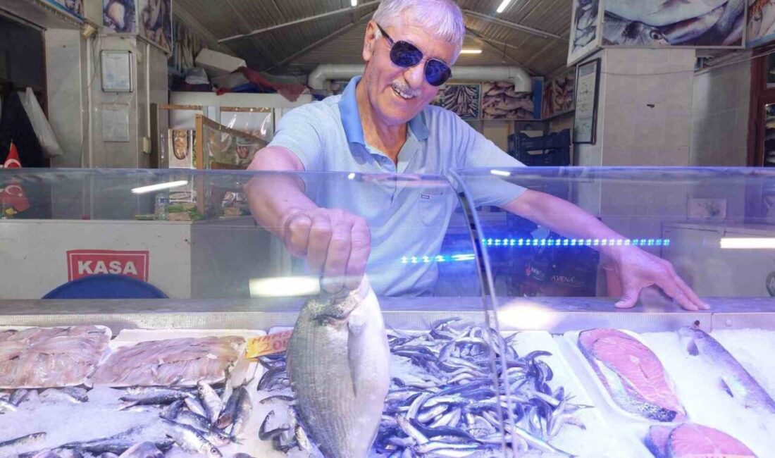 Eskişehirli balık satıcısı Battal Gazi Coşkun, en lezzetli dönemine giren