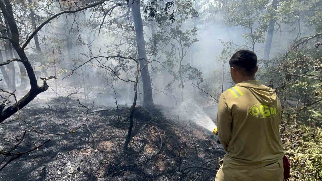 Eskişehir’de çıkan yangının büyük bir bölümü kontrol altına alınırken, bazı