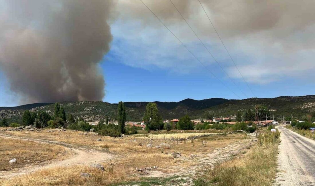 Eskişehir’de başlayan orman yangını devam ederken, alevlerin Afyonkarahisar’a sıçramasına karşı