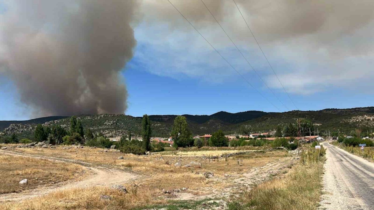 Eskişehir’de başlayan orman yangını devam ederken, alevlerin Afyonkarahisar’a sıçramasına karşı