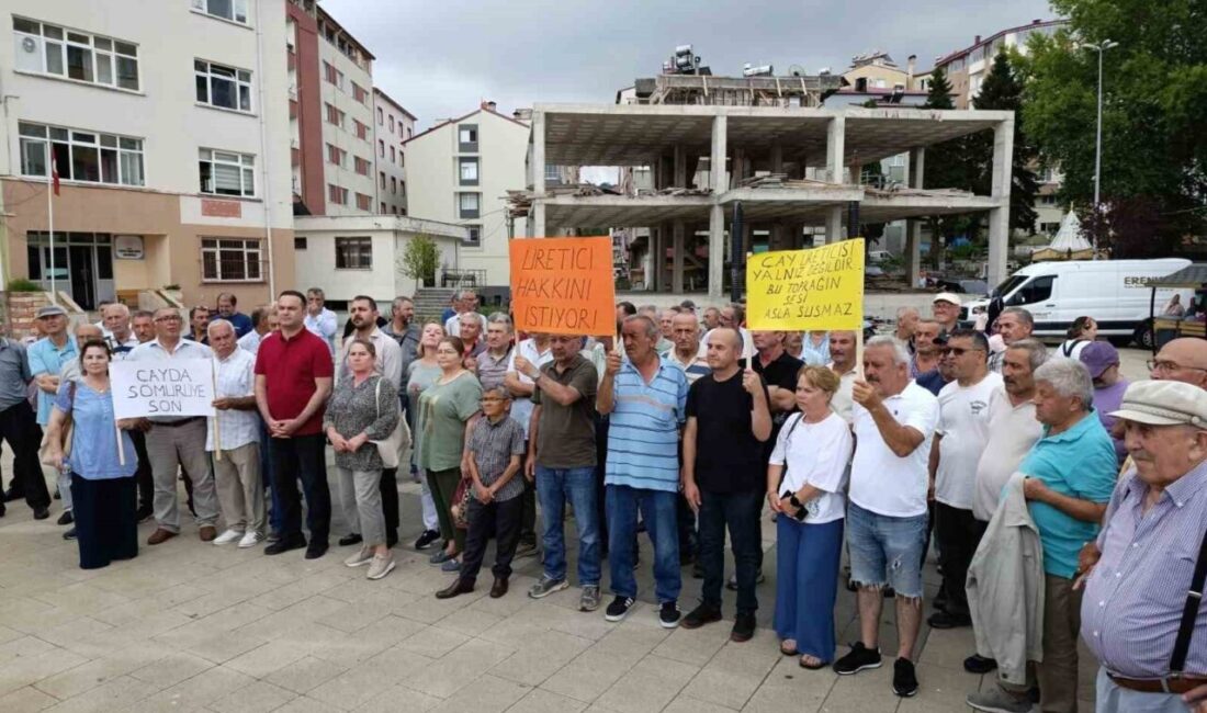 Giresun’un Eynesil ilçesinde çay üreticileri, düşük kota uygulamaları ve serbest