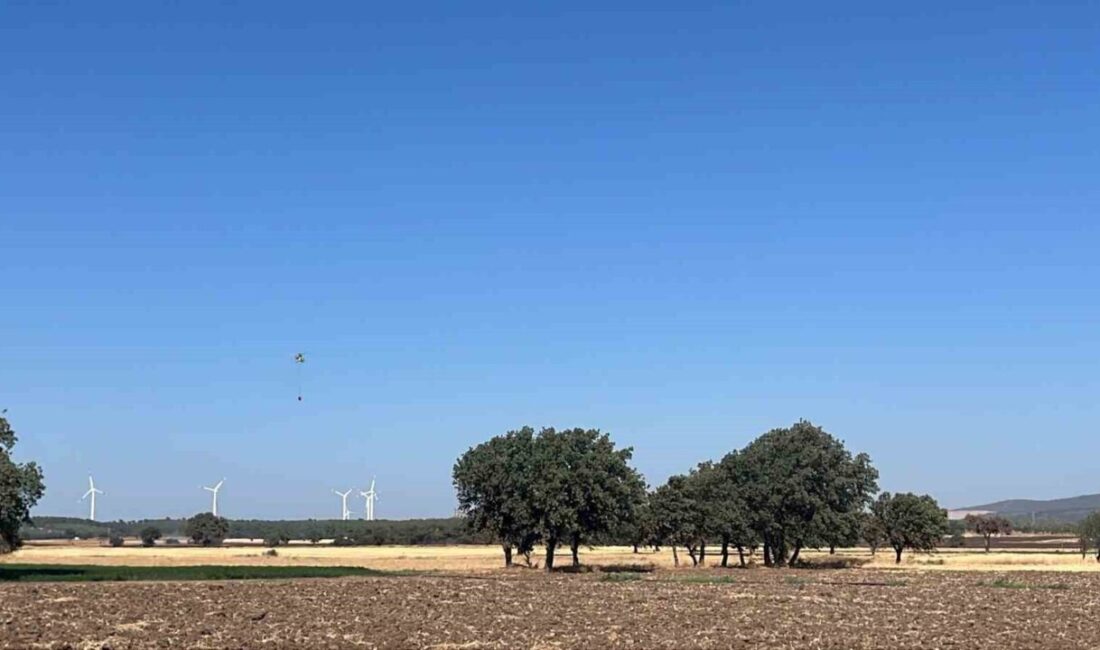 Çanakkale’nin Ezine ilçesinde tarım arazisinde çıkan yangın, Orman Bölge Müdürlüğü