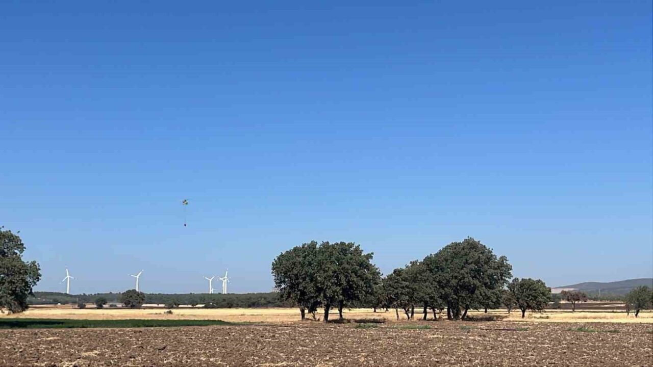 Çanakkale’nin Ezine ilçesinde tarım arazisinde çıkan yangın, Orman Bölge Müdürlüğü