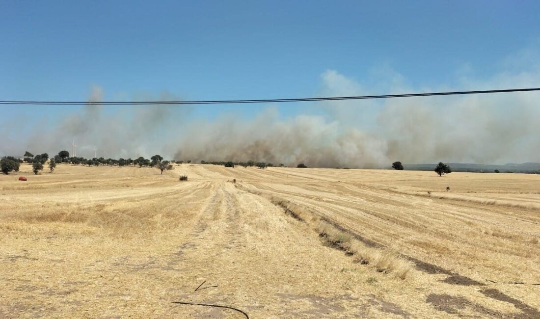 Çanakkale’nin Ezine ilçesinde tarım arazisinde çıkan yangına Orman Bölge Müdürlüğü