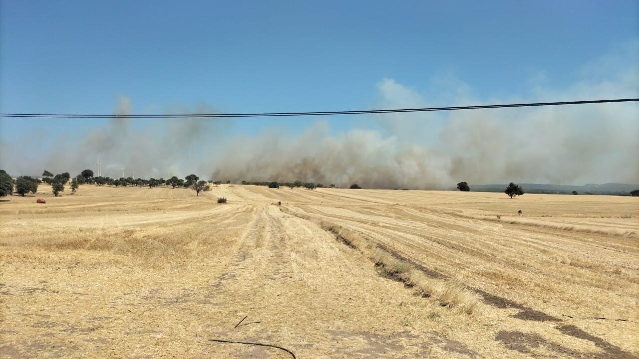 Çanakkale’nin Ezine ilçesinde tarım arazisinde çıkan yangına Orman Bölge Müdürlüğü