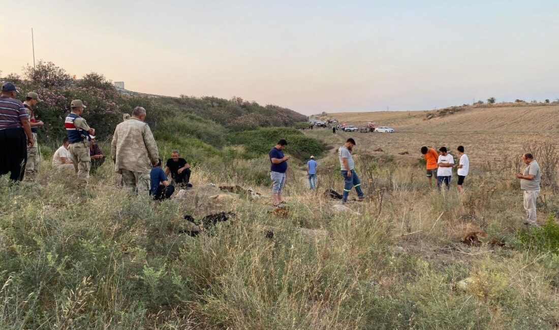 Hatay’da hayvancılık yapan Hasan Öz, fabrika atık sularının döküldüğünü iddia