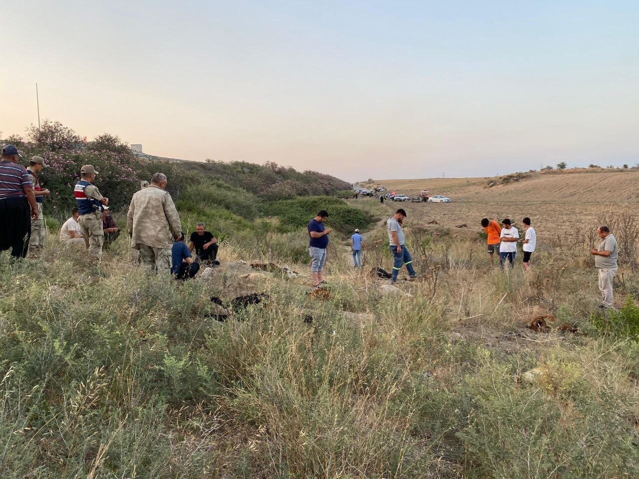 Hatay’da hayvancılık yapan Hasan Öz, fabrika atık sularının döküldüğünü iddia