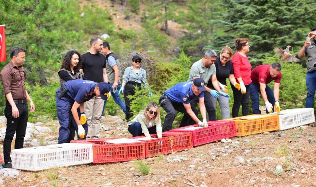 ADANA (İHA) – Adana’nın Feke ilçesinde doğal hayatı koruma çalışmaları
