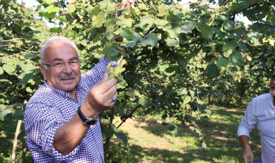 Ordu Büyükşehir Belediye Başkanı Dr. Mehmet Hilmi Güler’in uzun süredir