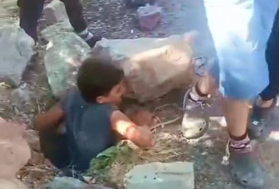 Ağrı’da foseptik çukuruna düşen yavru kedi, çevrede oyun oynayan çocukların