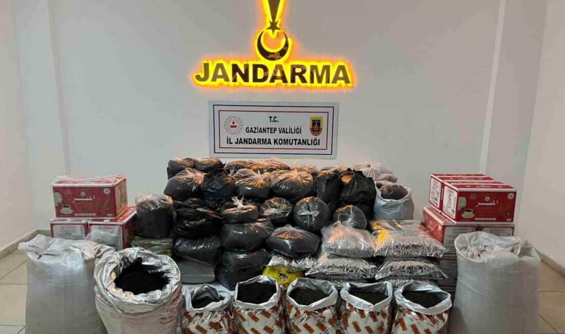 Gaziantep’te 3 farklı adreste yapılan aramalarda 300 kilo kaçak çay