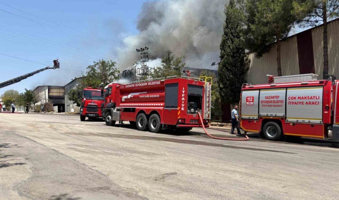 Gaziantep’te bir halı fabrikasında çıkan yangın, ekiplerin yaklaşık 4 saatlik