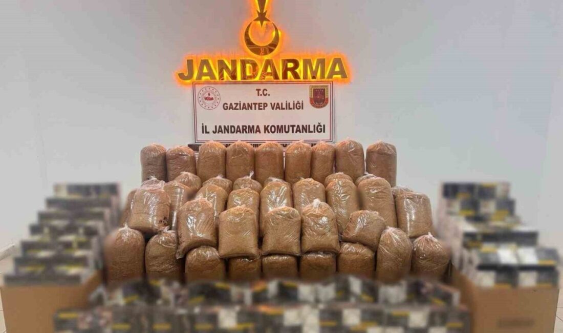 Gaziantep’te jandarma ekiplerince 2 adrese yapılan operasyonda gümrük kaçağı 290