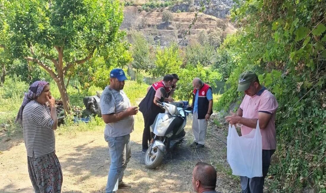 Antalya’nın Gazipaşa ilçesi Doğanca Mahallesi’nde 25 Temmuz’da çıkan orman yangını
