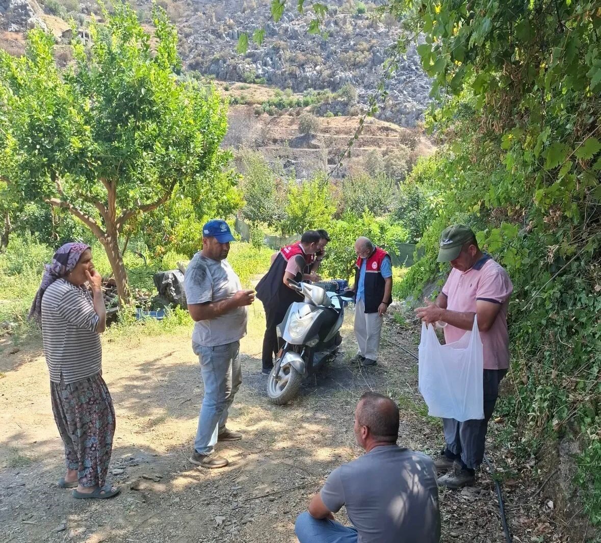 Antalya’nın Gazipaşa ilçesi Doğanca Mahallesi’nde 25 Temmuz’da çıkan orman yangını