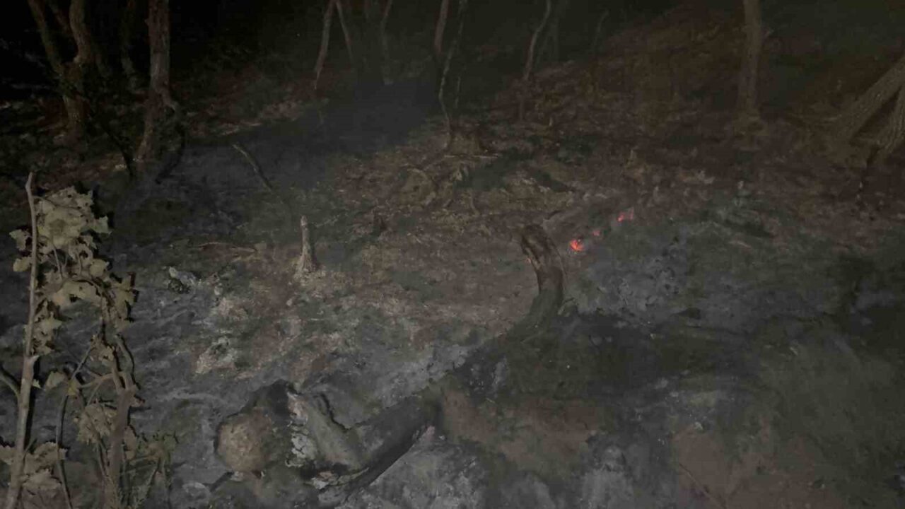 Kocaeli’nin Gebze ilçesinde gece saatlerinde çıkan orman yangınında 7 dönümlük