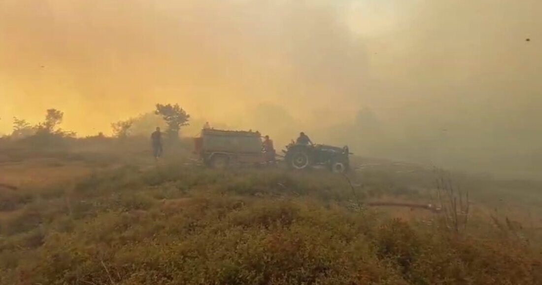 Kocaeli’nin Gebze ilçesinde ormanlık alanda çıkan yangını söndürme çalışmaları sürüyor.