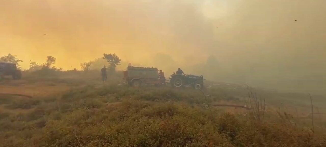 Kocaeli’nin Gebze ilçesinde ormanlık alanda çıkan yangını söndürme çalışmaları sürüyor.