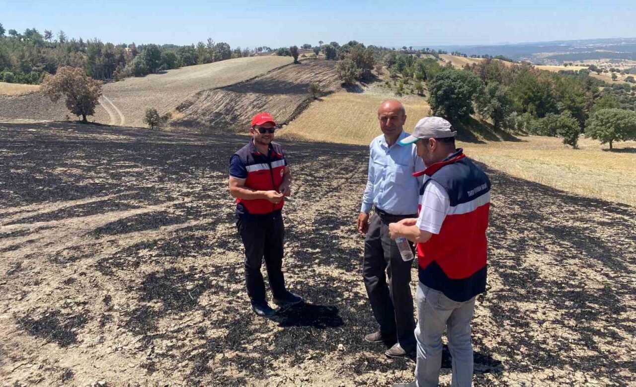 Kütahya’nın Gediz ilçesinde önceki gün meydana gelen orman yangınından etkilenen