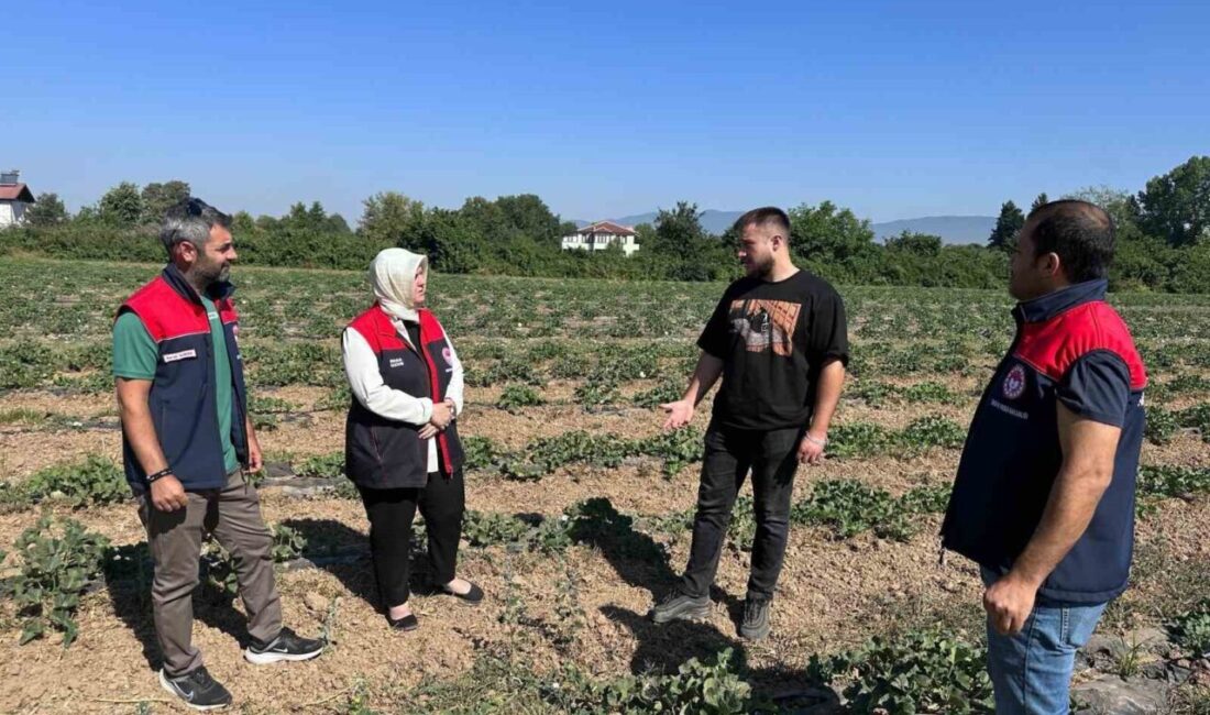 DÜZCE(İHA) – Düzce Merkeze bağlı Kirazlı Köyü’nde üniversite öğrencisi genç