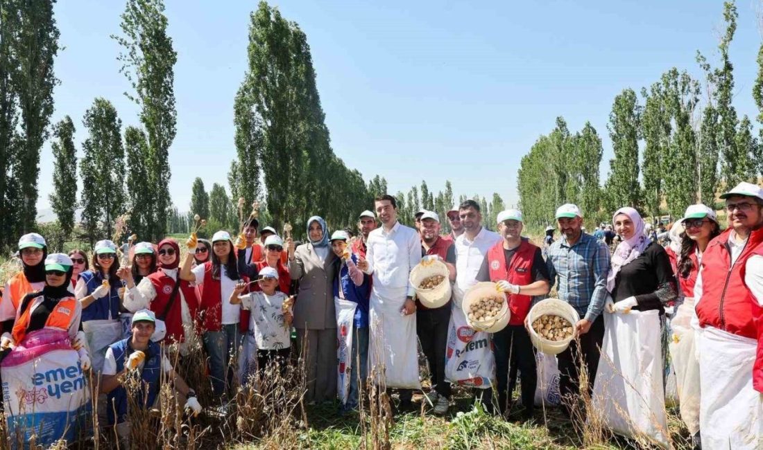 Gençlik ve Spor Bakanlığı tarafından gençlerin tarıma ilgisini artırmak, kırsal