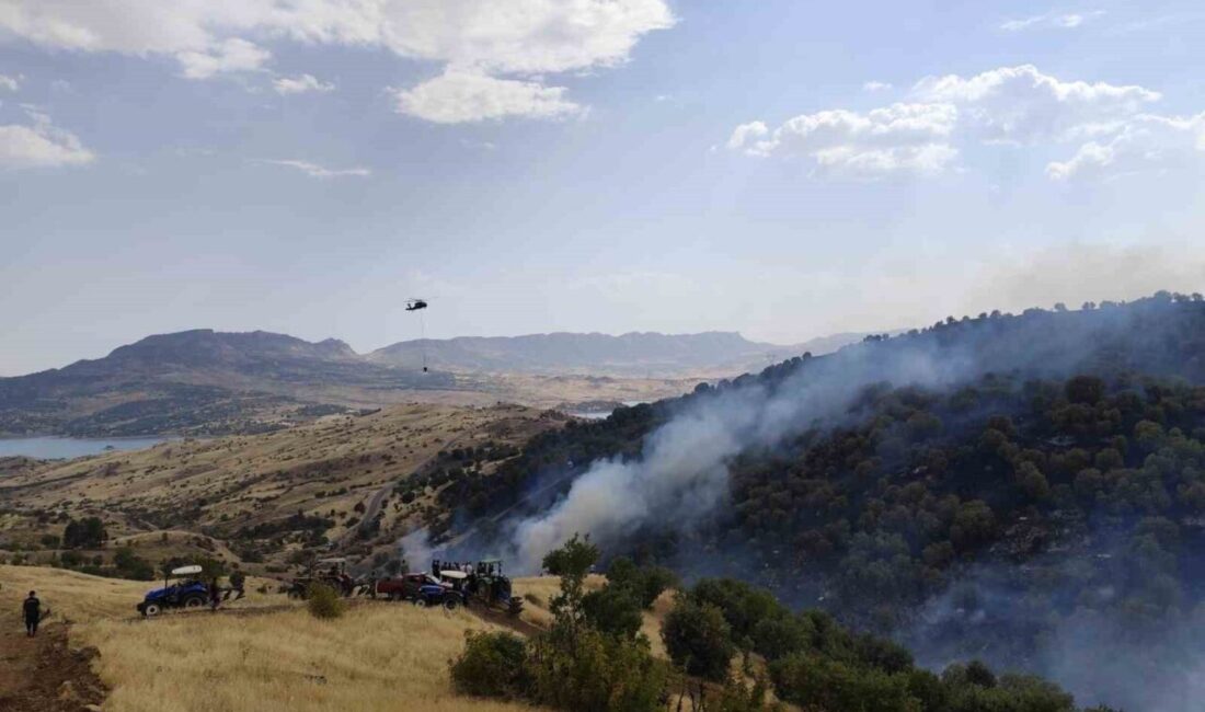 Adıyaman’ın Gerger ilçesine bağlı Keleşan Mahallesi sınırları içerisindeki ormanlık alanda