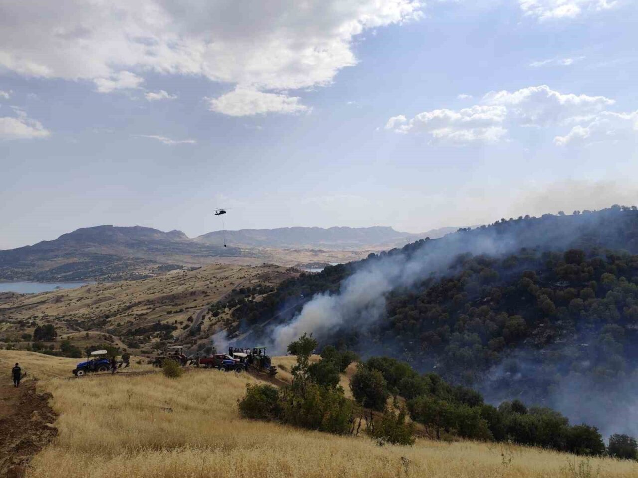 Adıyaman’ın Gerger ilçesine bağlı Keleşan Mahallesi sınırları içerisindeki ormanlık alanda