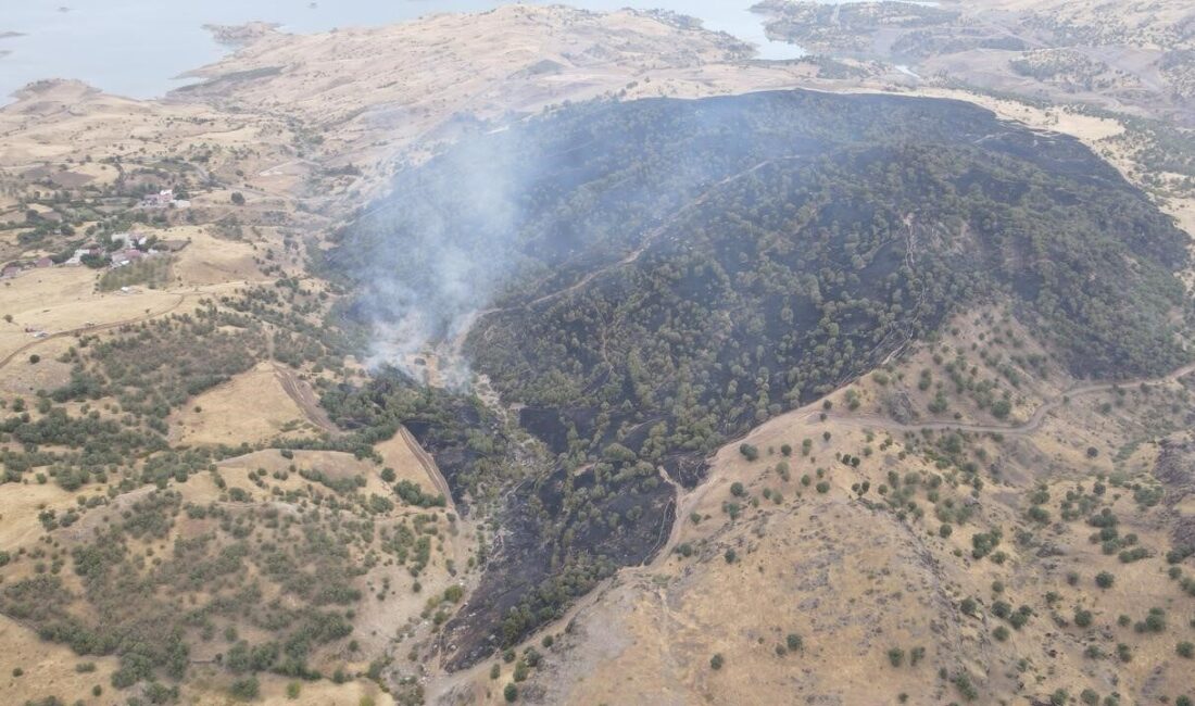 Adıyaman’ın Gerger ilçesinde çıkan orman yangını, ekiplerin yoğun müdahalesi sonucu