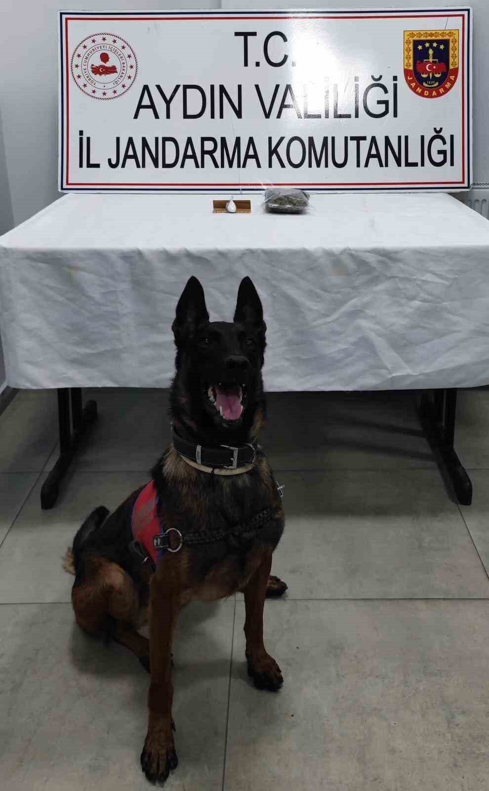 Aydın’ın Germencik ilçesinde jandarma ekipleri tarafından durdurulan araçta uyuşturucu madde