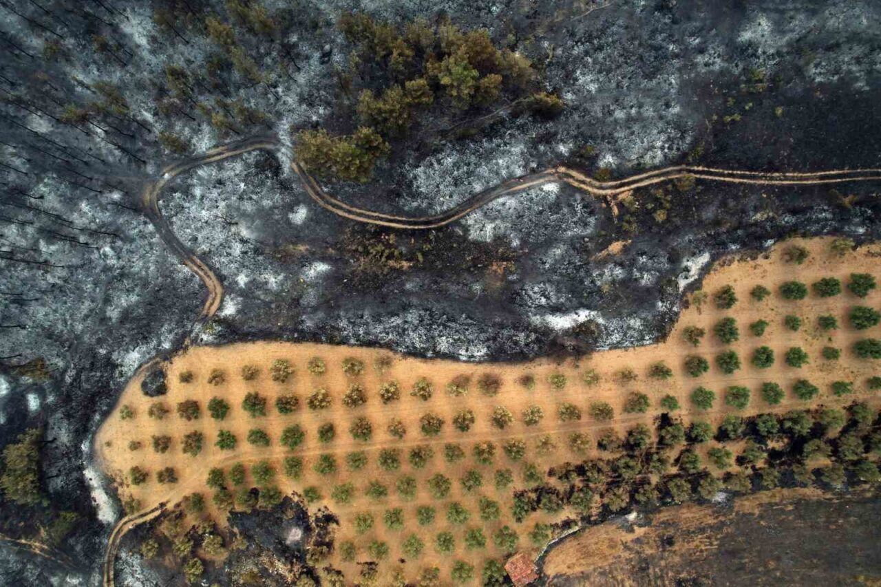Sakarya’nın Geyve ilçesinde başlayıp Bilecik’e sıçrayan ve birçok köyün tahliyesine