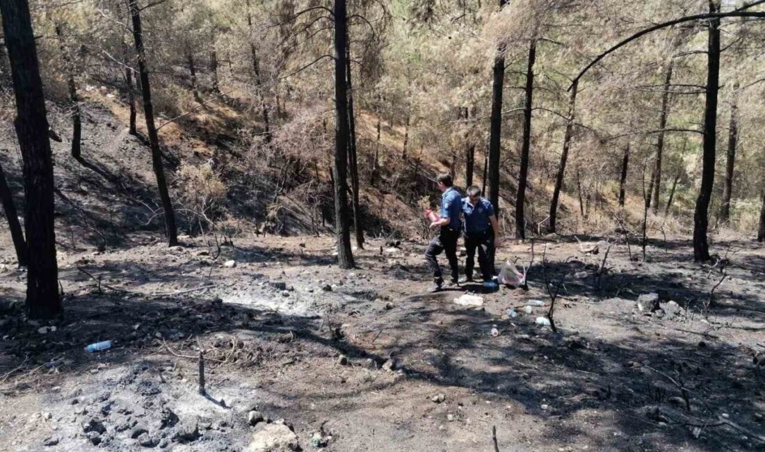 Sakarya’nın Geyve ilçesinde 20 Temmuz’da başlayarak Bilecik’e de sıçrayan orman