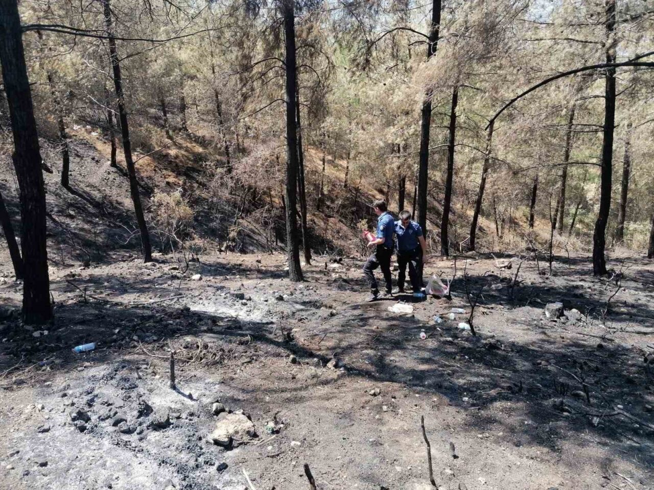 Sakarya’nın Geyve ilçesinde 20 Temmuz’da başlayarak Bilecik’e de sıçrayan orman