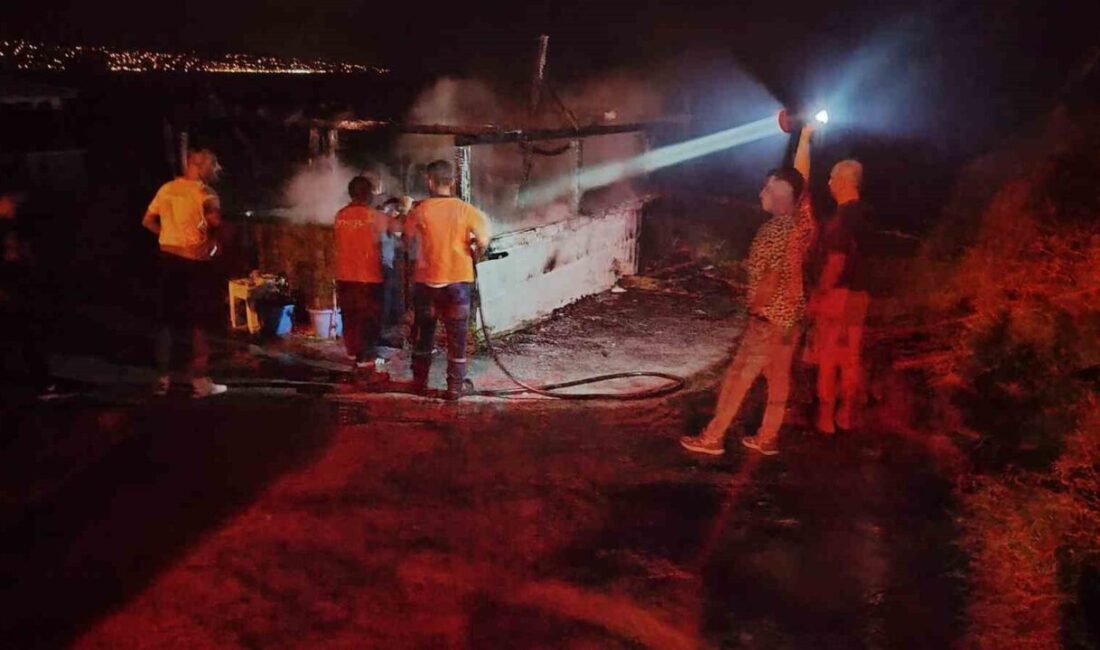 Giresun’un Eynesil ilçesi Boztepe Mahallesi Kale mevkisinde faaliyet gösteren bir