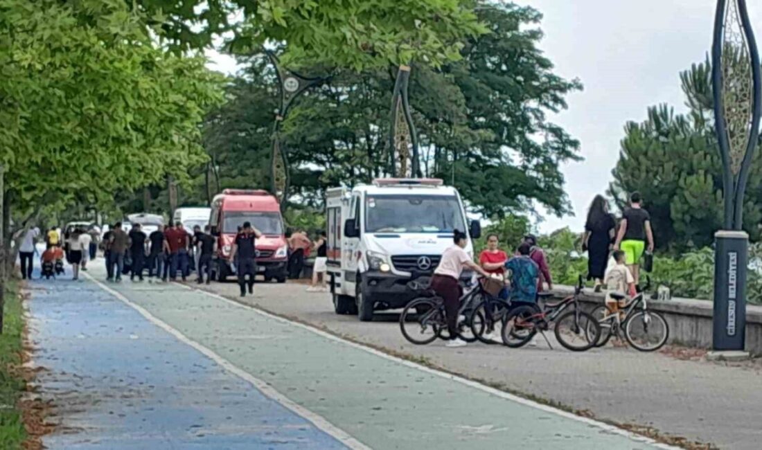 Giresun’da denize giren bir vatandaş, boğulma tehlikesi geçirerek hastaneye kaldırıldı.
