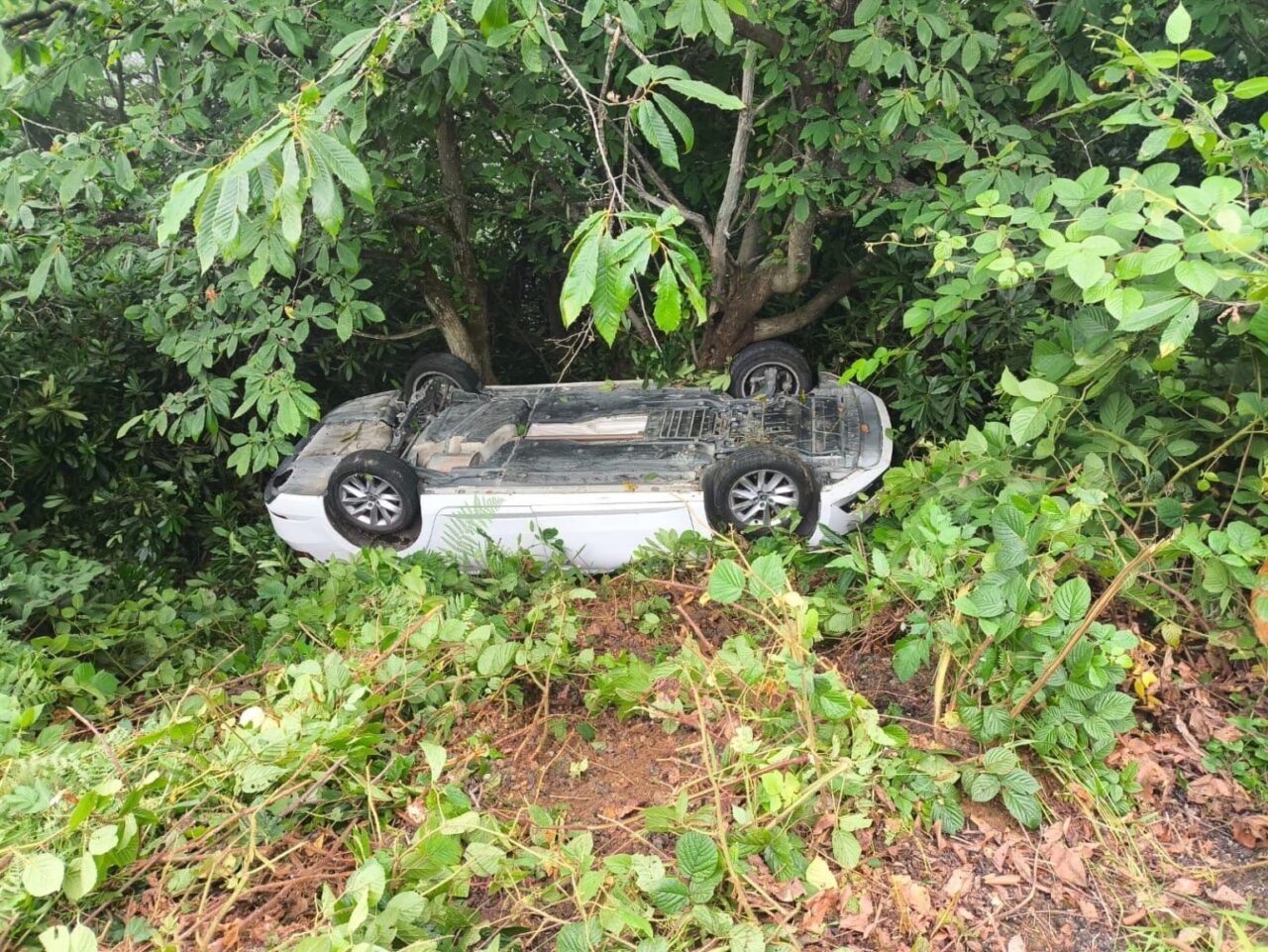 Giresun’un Bulancak ilçesinde meydana gelen trafik kazasında 6 kişi yaralandı.