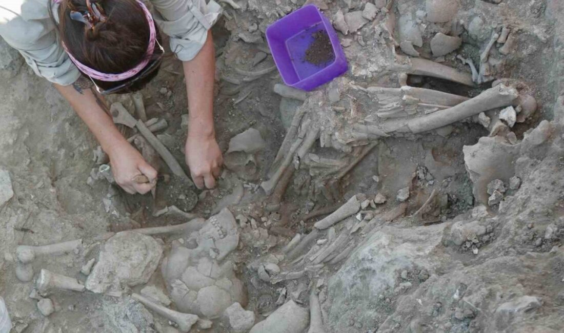 Çanakkale’nin Gökçeada ilçesindeki Uğurlu-Zeytinlik yerleşmesinde 15 yıldır devam eden arkeoloji