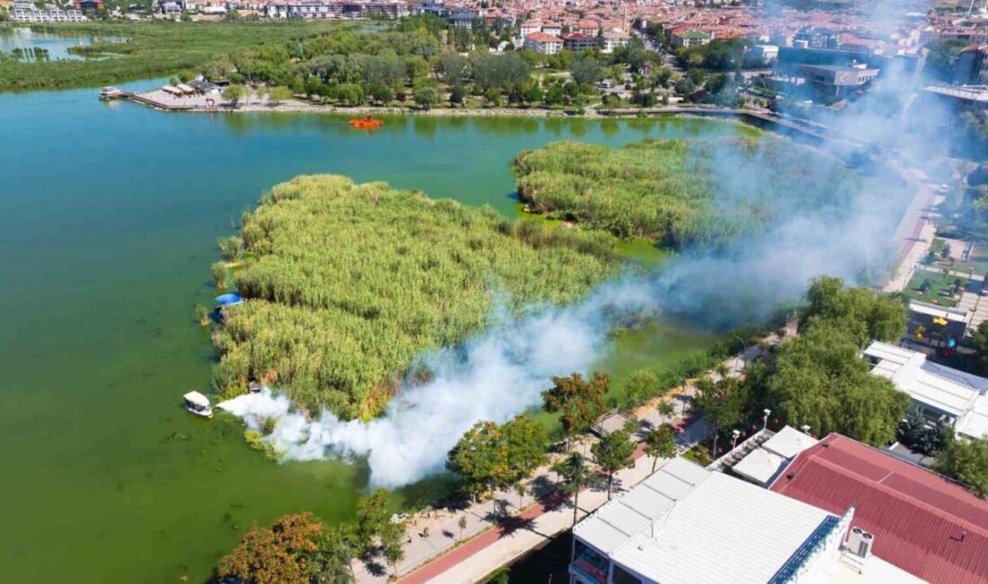 Gölbaşı Belediyesi ekipleri, Mogan Gölü’nde müsilaj temizliği ve vektörle mücadele