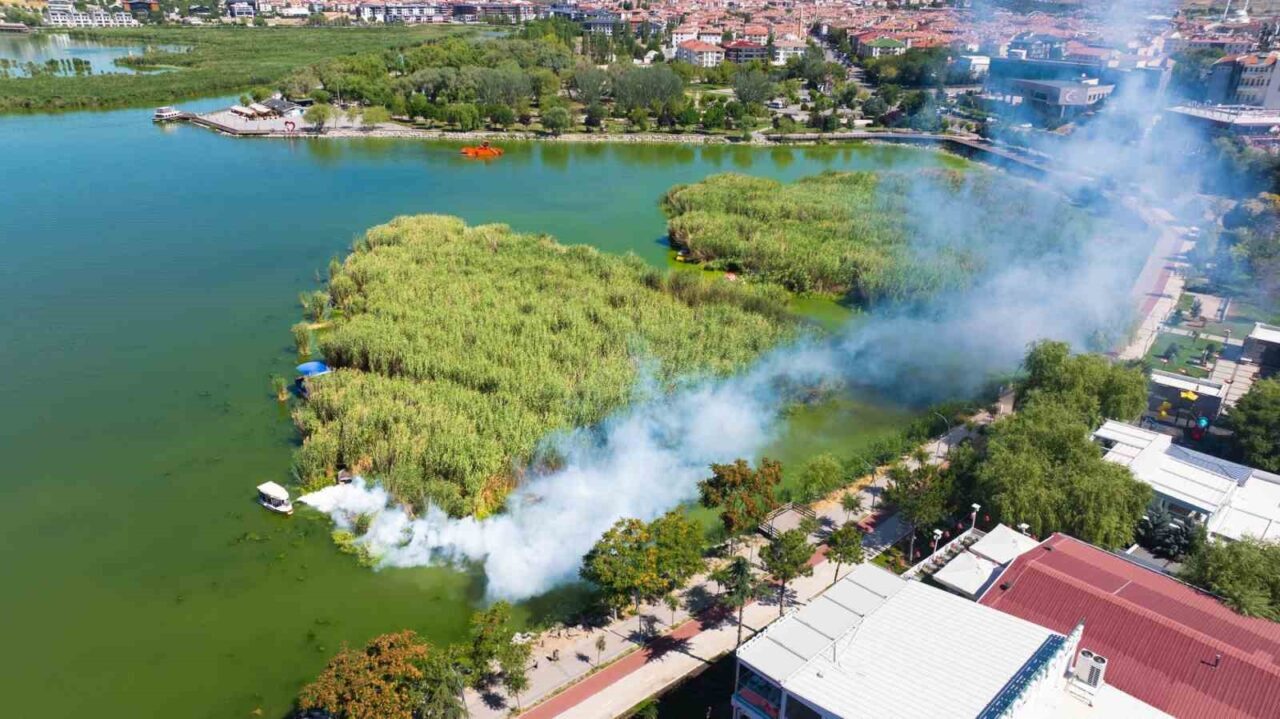 Gölbaşı Belediyesi ekipleri, Mogan Gölü’nde müsilaj temizliği ve vektörle mücadele