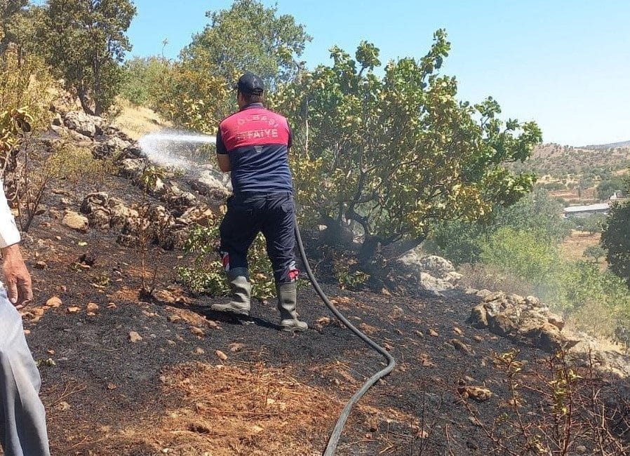 Adıyaman’ın Gölbaşı ilçesinde ormanlık alanda çıkan yangın büyümeden söndürüldü. Edinilen