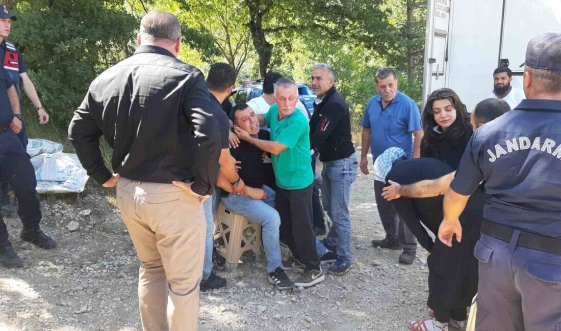 Bolu’nun Mudurnu ilçesine bağlı Taşkesti beldesinde bulunan Karamurat Göleti’nde, dün