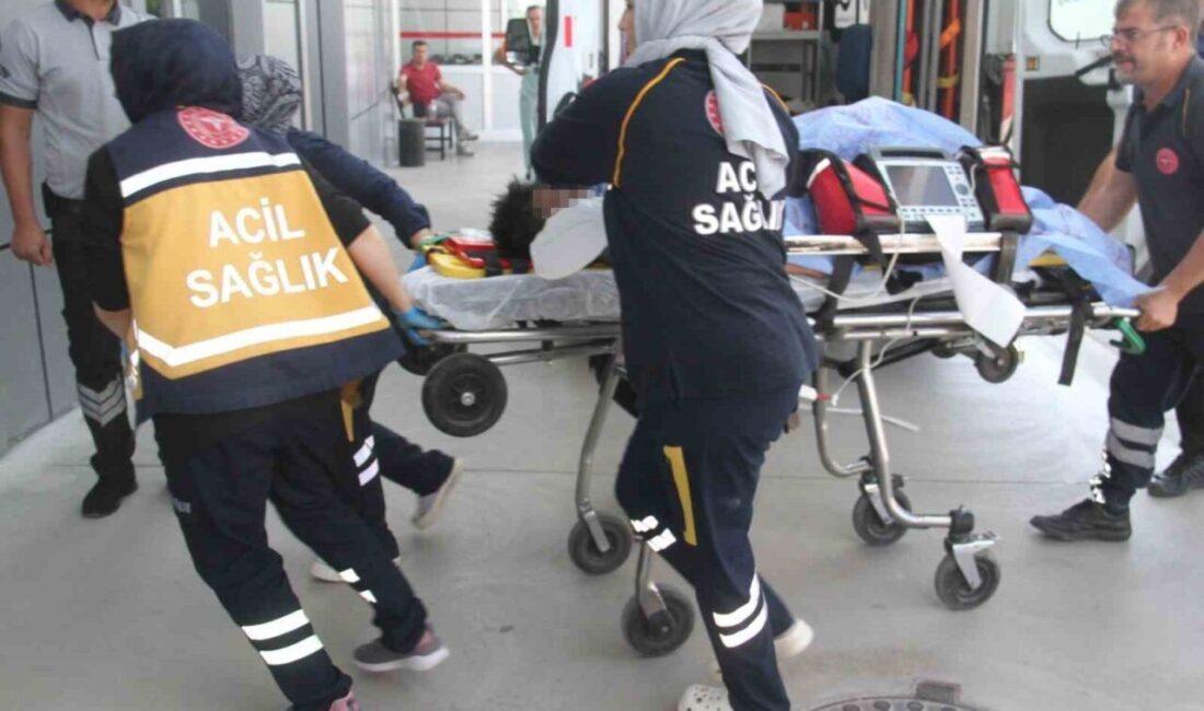 Konya’nın Beyşehir ilçesinde serinlemek için göle giren 9 yaşındaki çocuk,