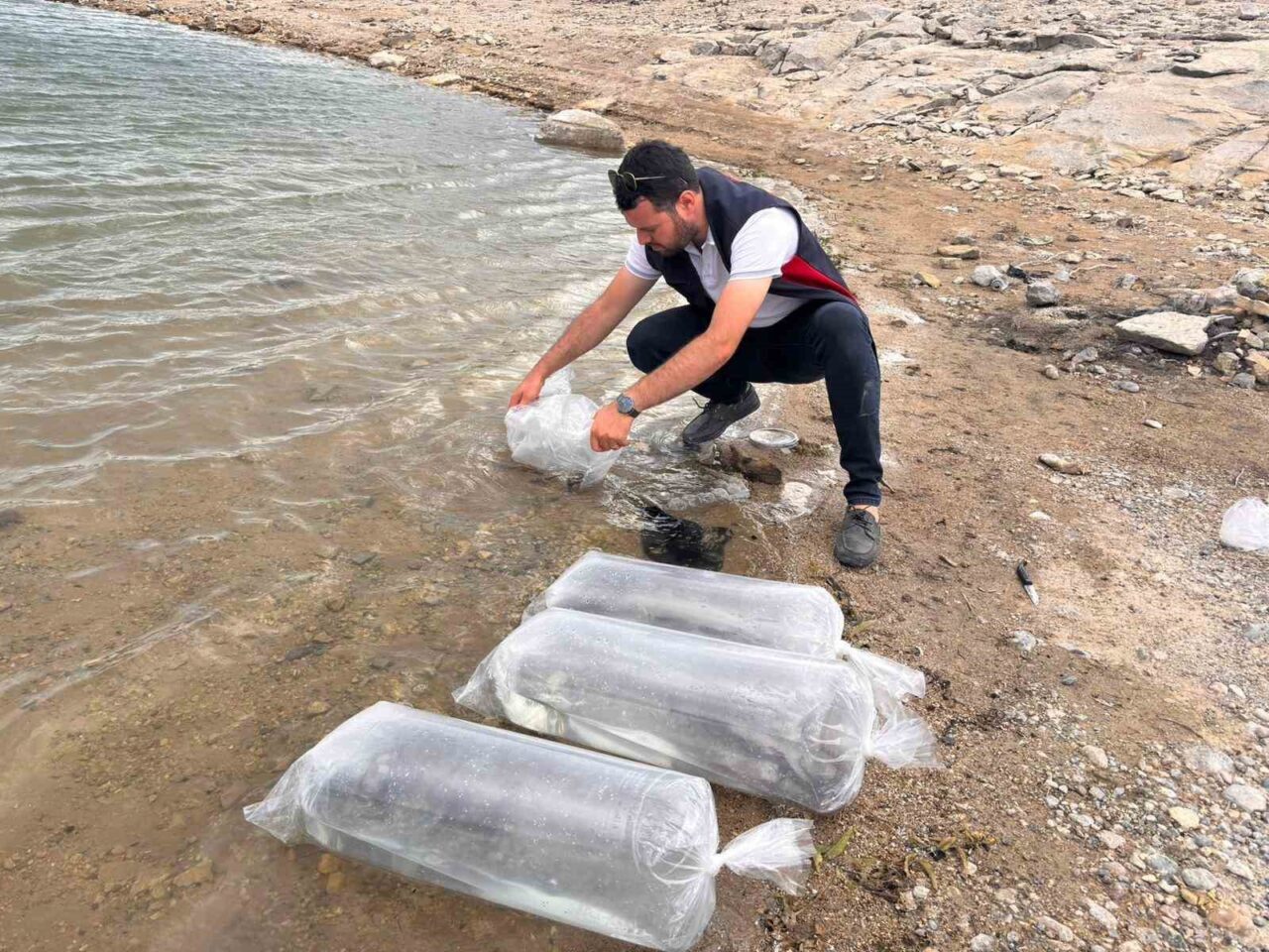 Burdur’un Gölhisar ilçesindeki Gölhisar Gölü ve Yapraklı Barajı’na balık popülasyonunu
