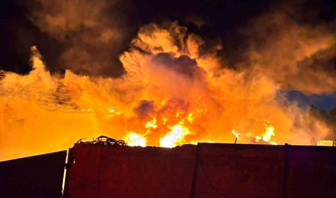 Balıkesir’in Gömeç ilçesi Karaağaç Mahallesi’nde çıkan hurdalık yangını, ekiplerin zamanında