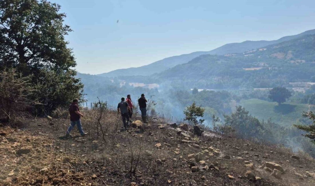 Balıkesir’in Gönen ilçesi Kumköy ile Ilıca Mahallesi arasında çıkan arazi