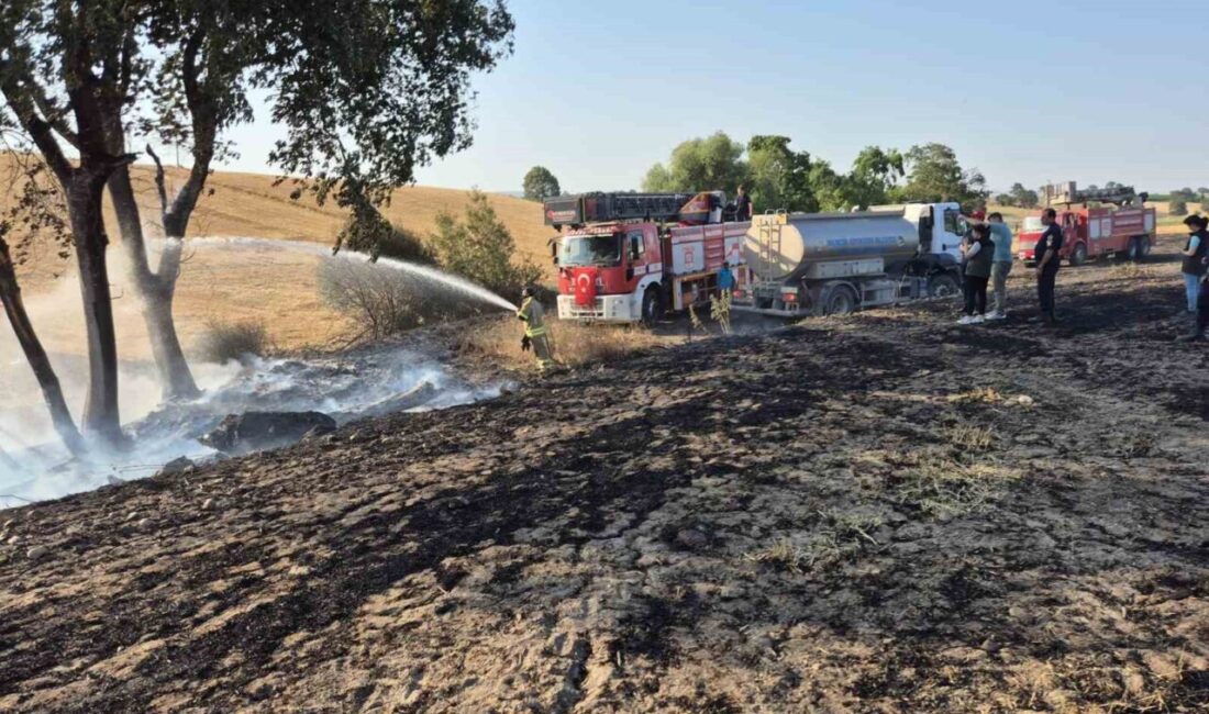 Balıkesir’in Gönen ilçesi Saraçlar Mahallesi kırsalında meydana gelen arazi yangını