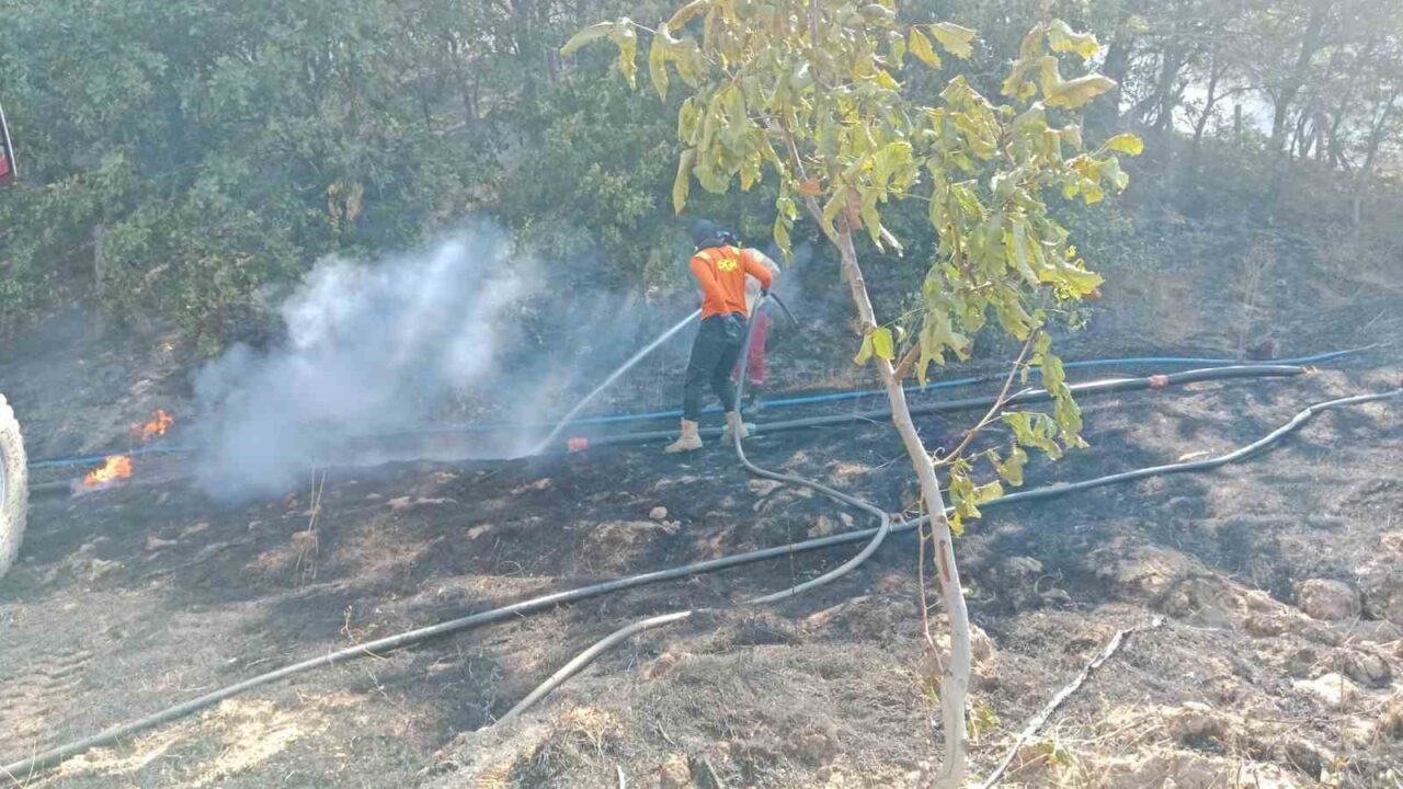 Balıkesir’in Gönen ilçesinde ormanlık alanda çıkan yangın, ekiplerin müdahalesiyle söndürüldü.