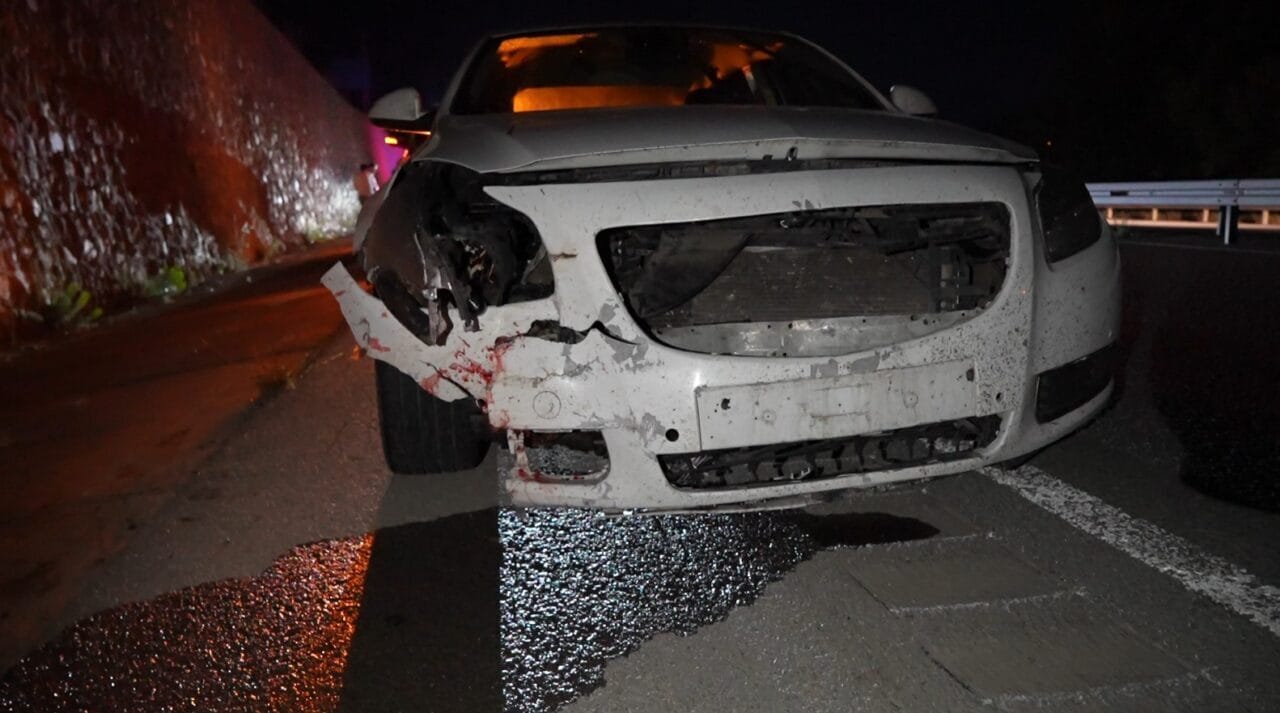 Gümüşhane-Trabzon karayolunda seyir halindeki otomobilin çarptığı ayı telef oldu. Gece