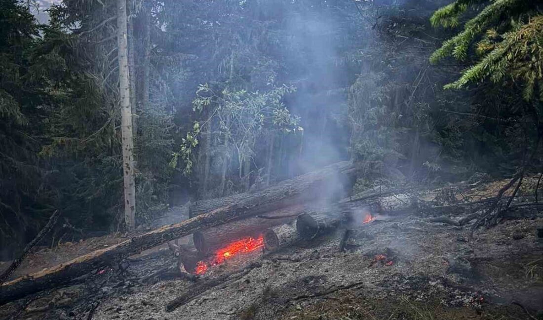 Gümüşhane’de çıkan orman yangını, ekiplerin çalışmasıyla söndürüldü. Yangın, merkeze bağlı